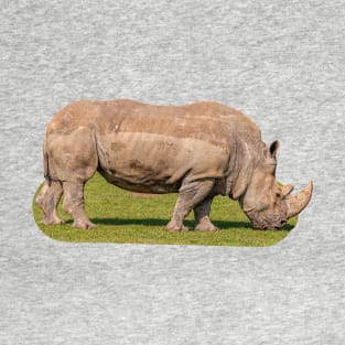 White lipped Rhino T-Shirt